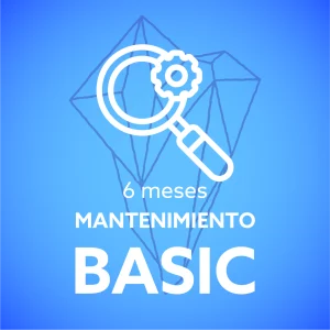 6 meses mantenimiento basic