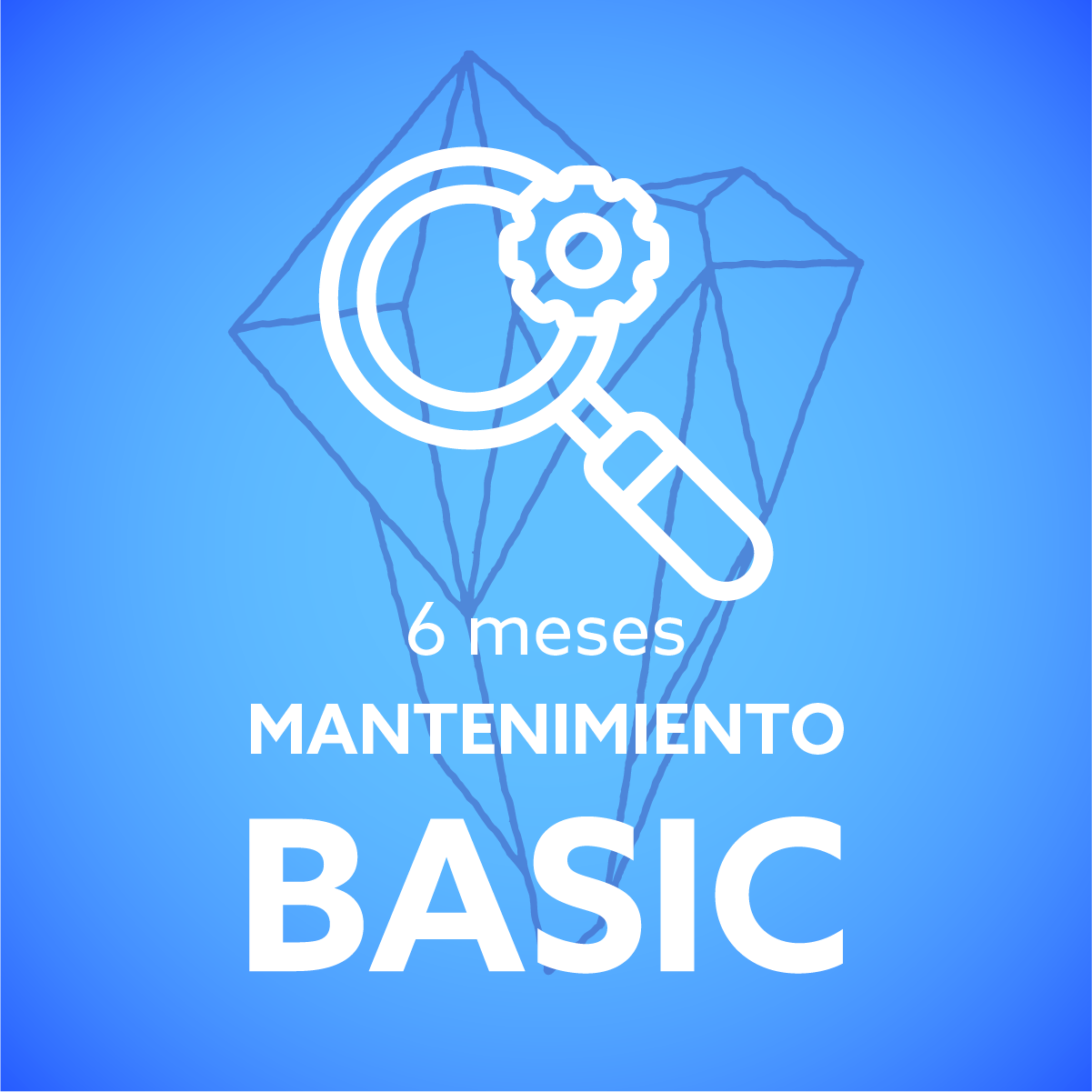 Mantenimiento Web BASICO (6 meses) 1 6 meses mantenimiento basic