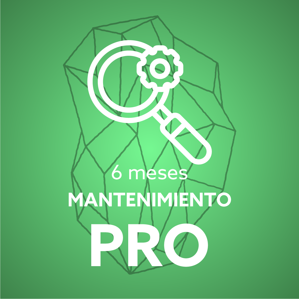 6 meses mantenimiento pro